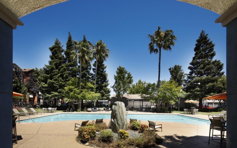 Sparkling swimming pool a pool with trees around it